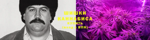 твердый Зеленодольск