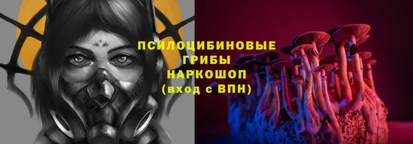 прущие грибы Иннополис
