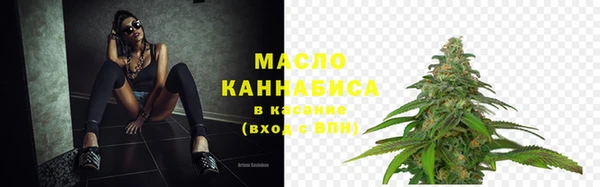 прущие грибы Иннополис
