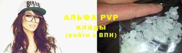 прущие грибы Иннополис