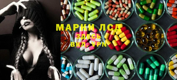 прущие грибы Иннополис