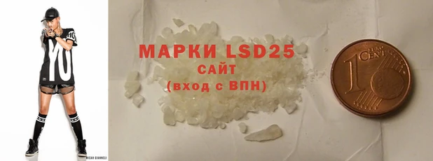 прущие грибы Иннополис