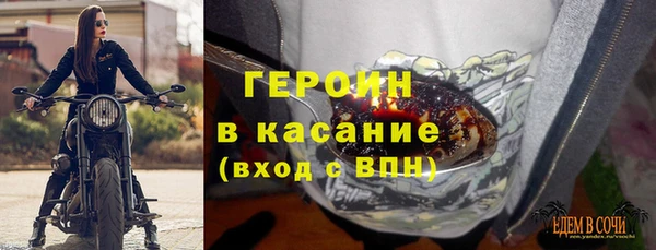 прущие грибы Иннополис