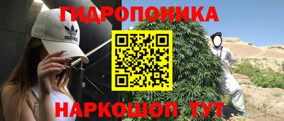 шишки Гагарин