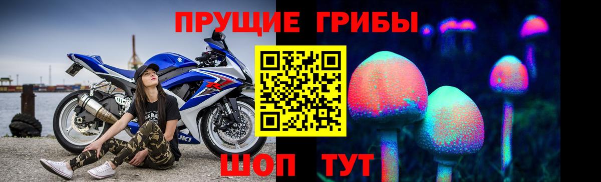 Лабытнанги  Псилоцибиновые грибы Psilocybine cubensis  Вход с VPN 