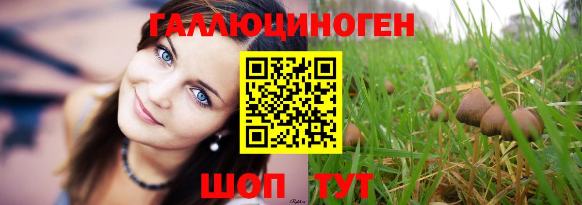 Галлюциногенные грибы GOLDEN TEACHER Лабытнанги